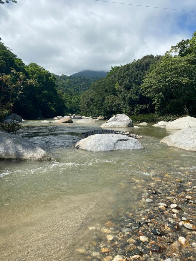 Wayanay Tayrona Eco Hostel Эль-Саино Экстерьер фото