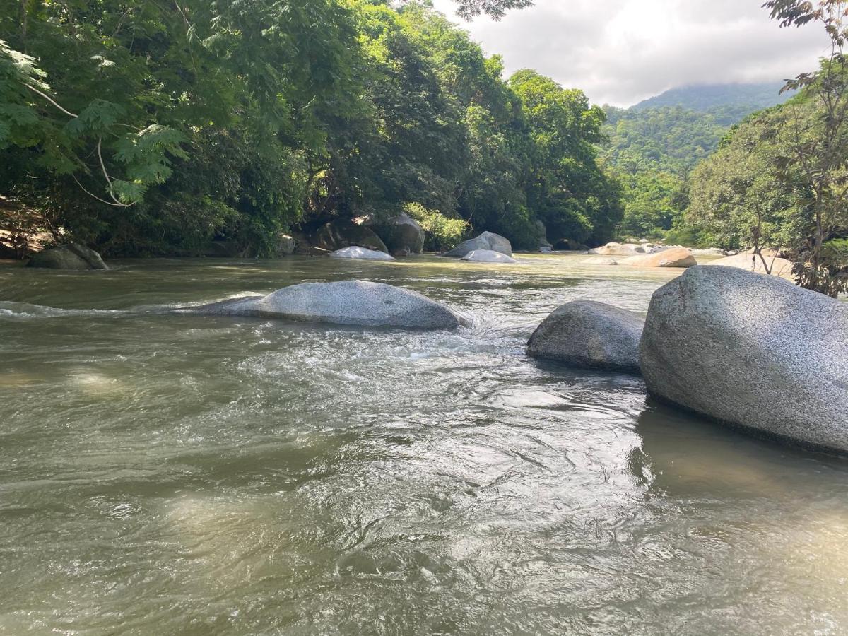 Wayanay Tayrona Eco Hostel Эль-Саино Экстерьер фото