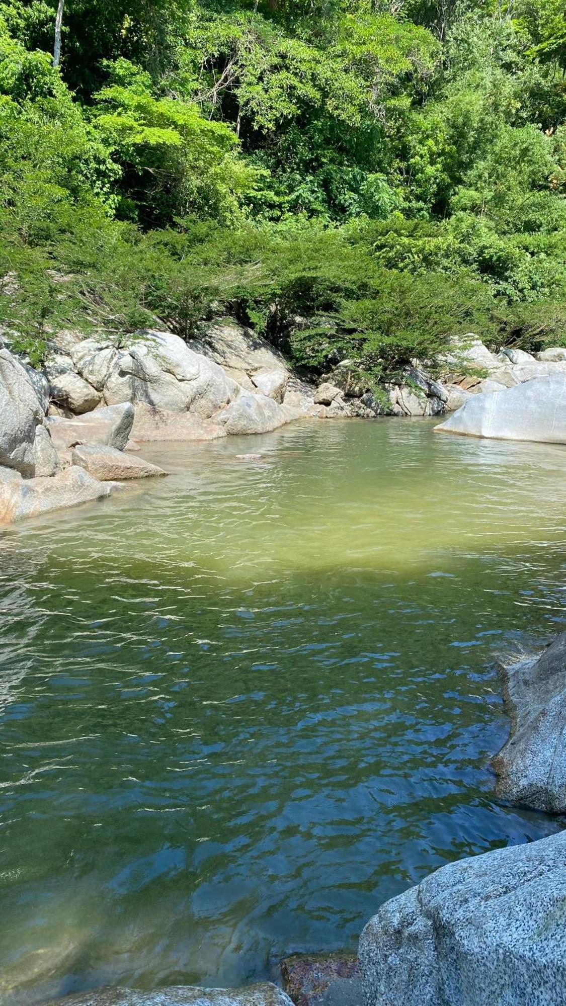 Wayanay Tayrona Eco Hostel Эль-Саино Экстерьер фото