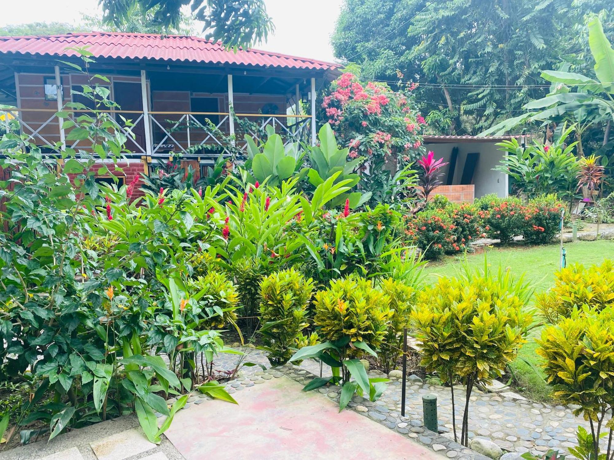 Wayanay Tayrona Eco Hostel Эль-Саино Экстерьер фото