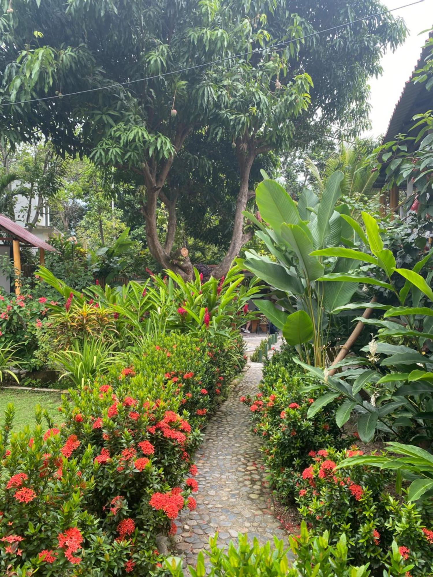 Wayanay Tayrona Eco Hostel Эль-Саино Экстерьер фото