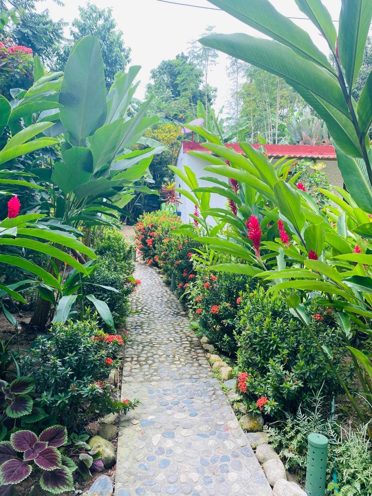 Wayanay Tayrona Eco Hostel Эль-Саино Экстерьер фото